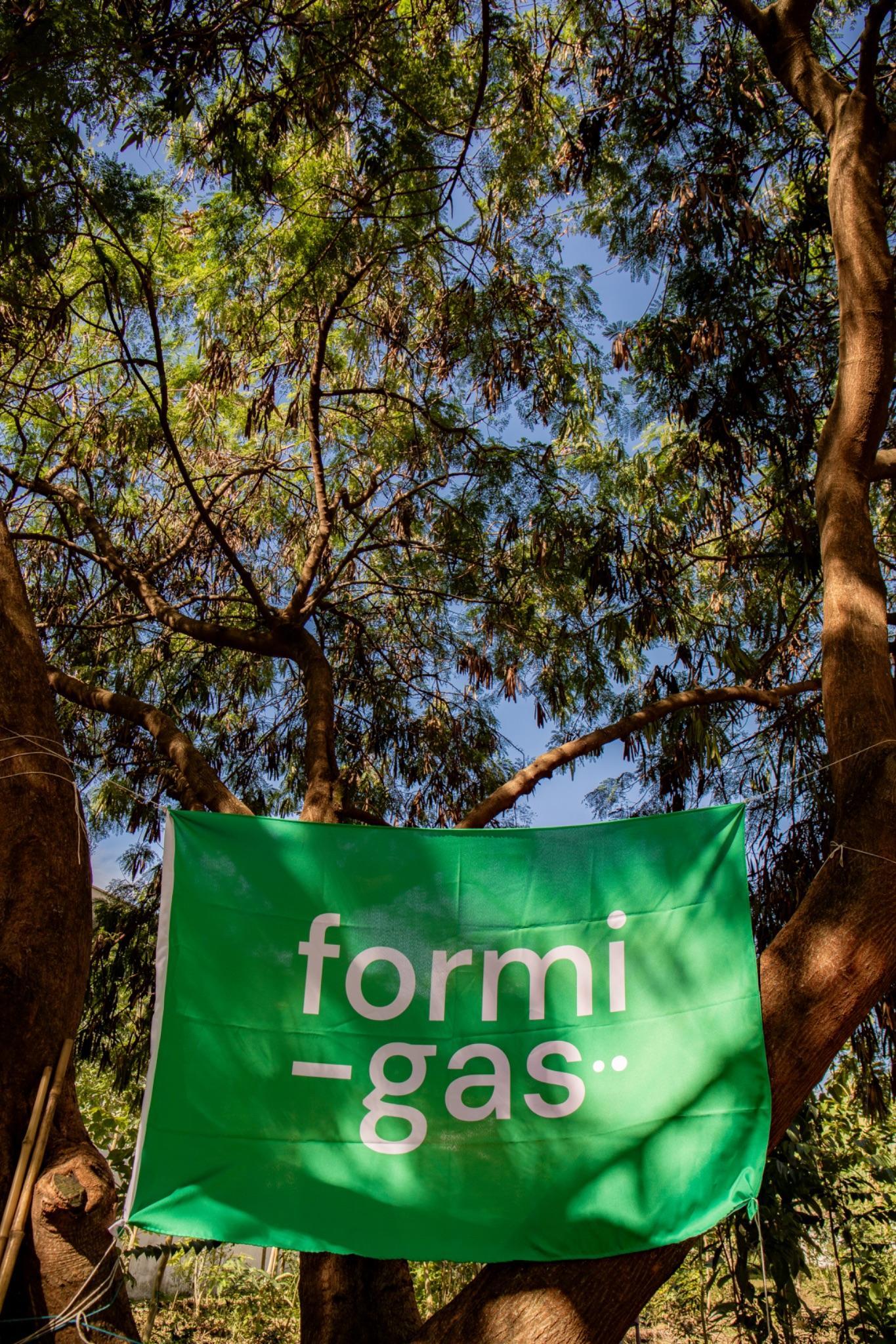 Florescimento da minifloresta