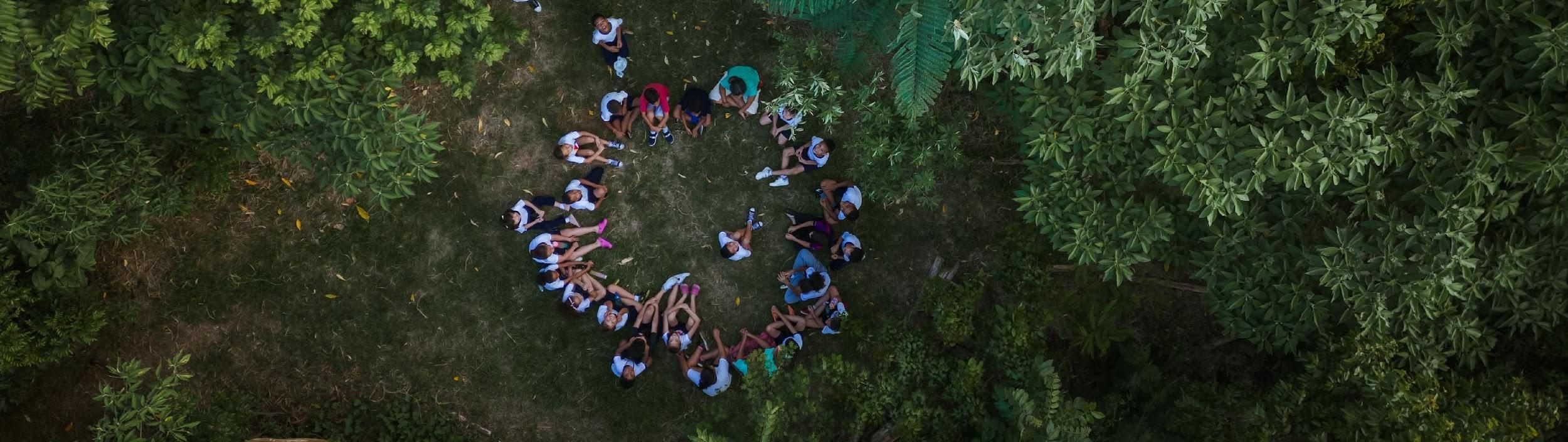 Impacto da biodiversidade