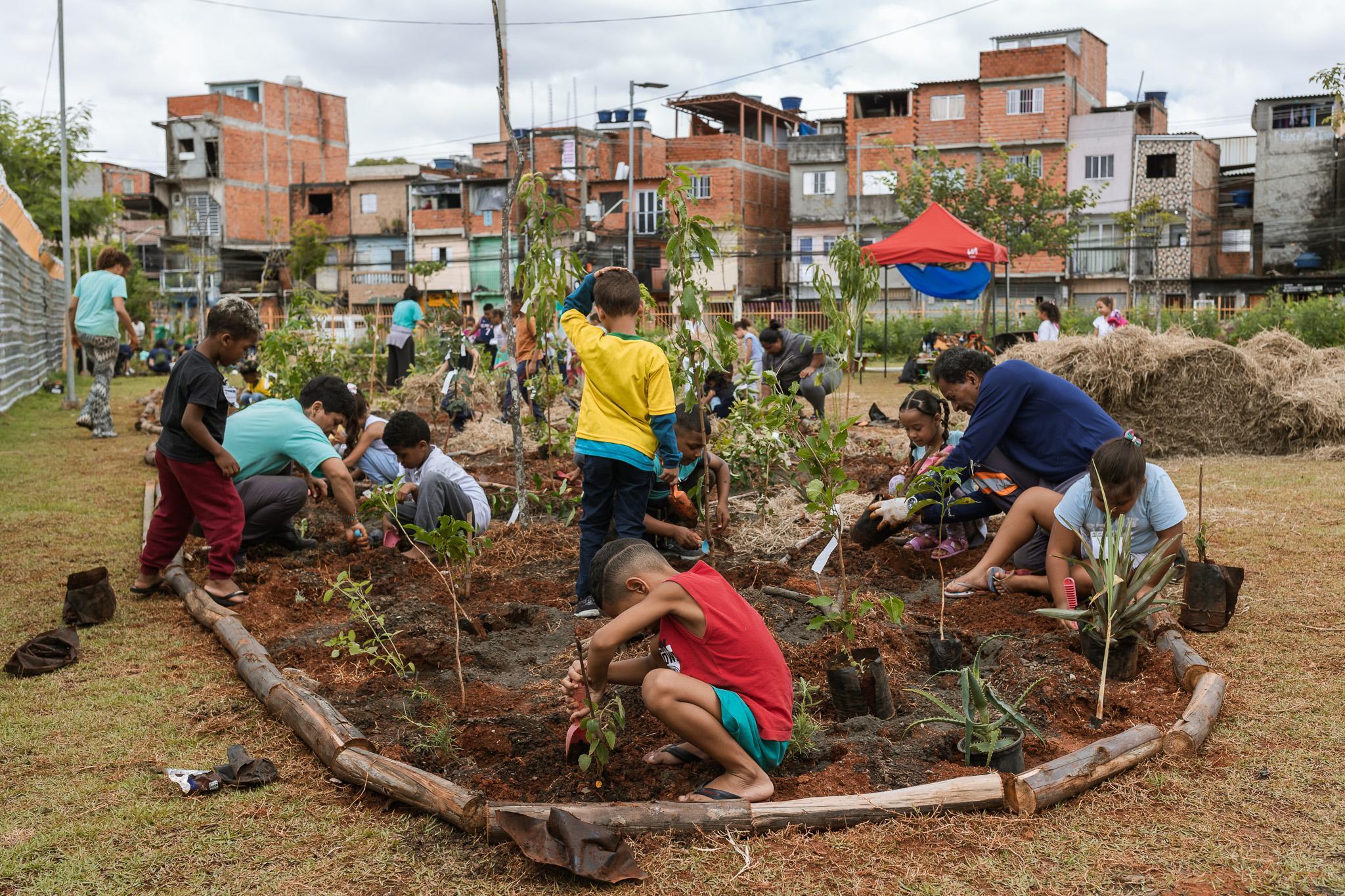 Crianças plantando